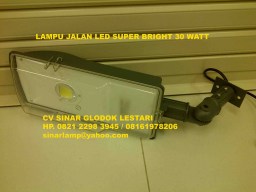 Lampu Jalan LED PJU Mini 30 Watt Super Bright